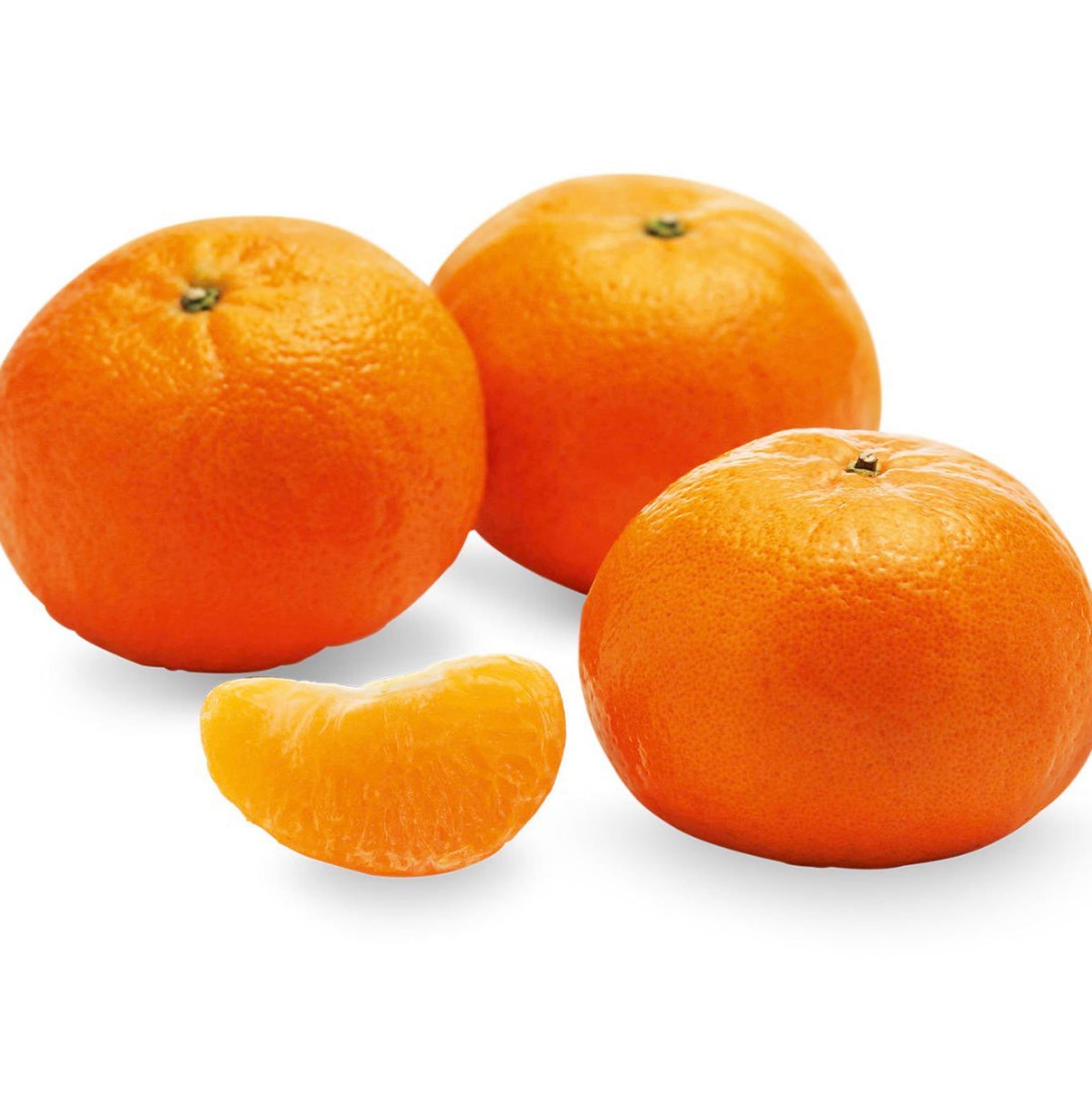 Mandarins Murcotts x3