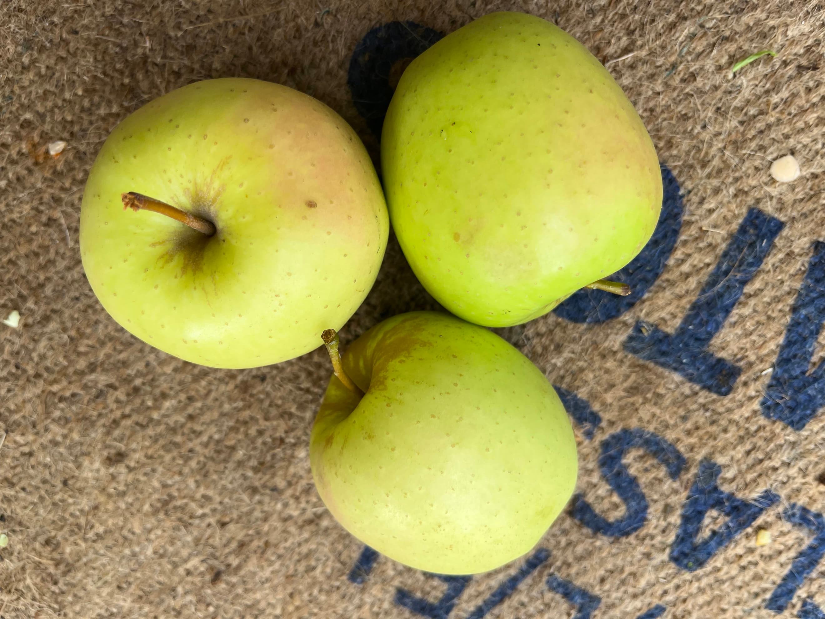 Golden Delicious x 2-3
