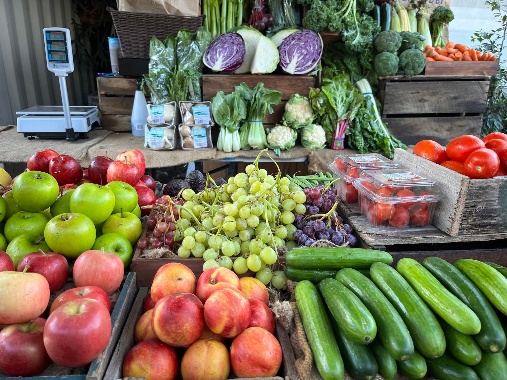 The Organic Grocer