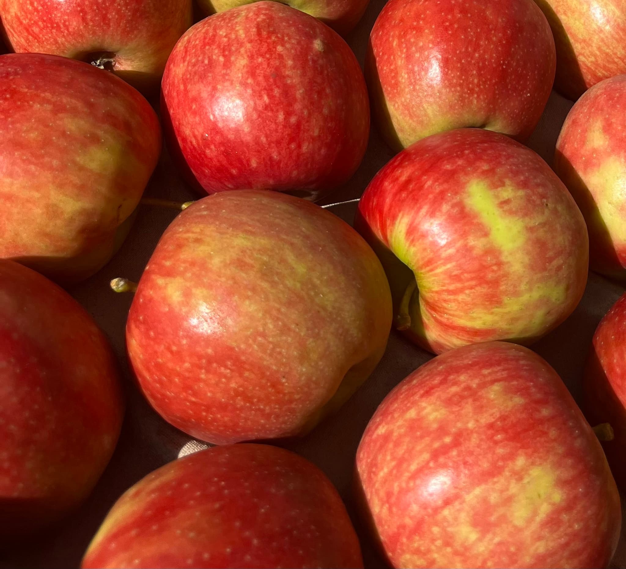 Apples Pink Ladys 3-4