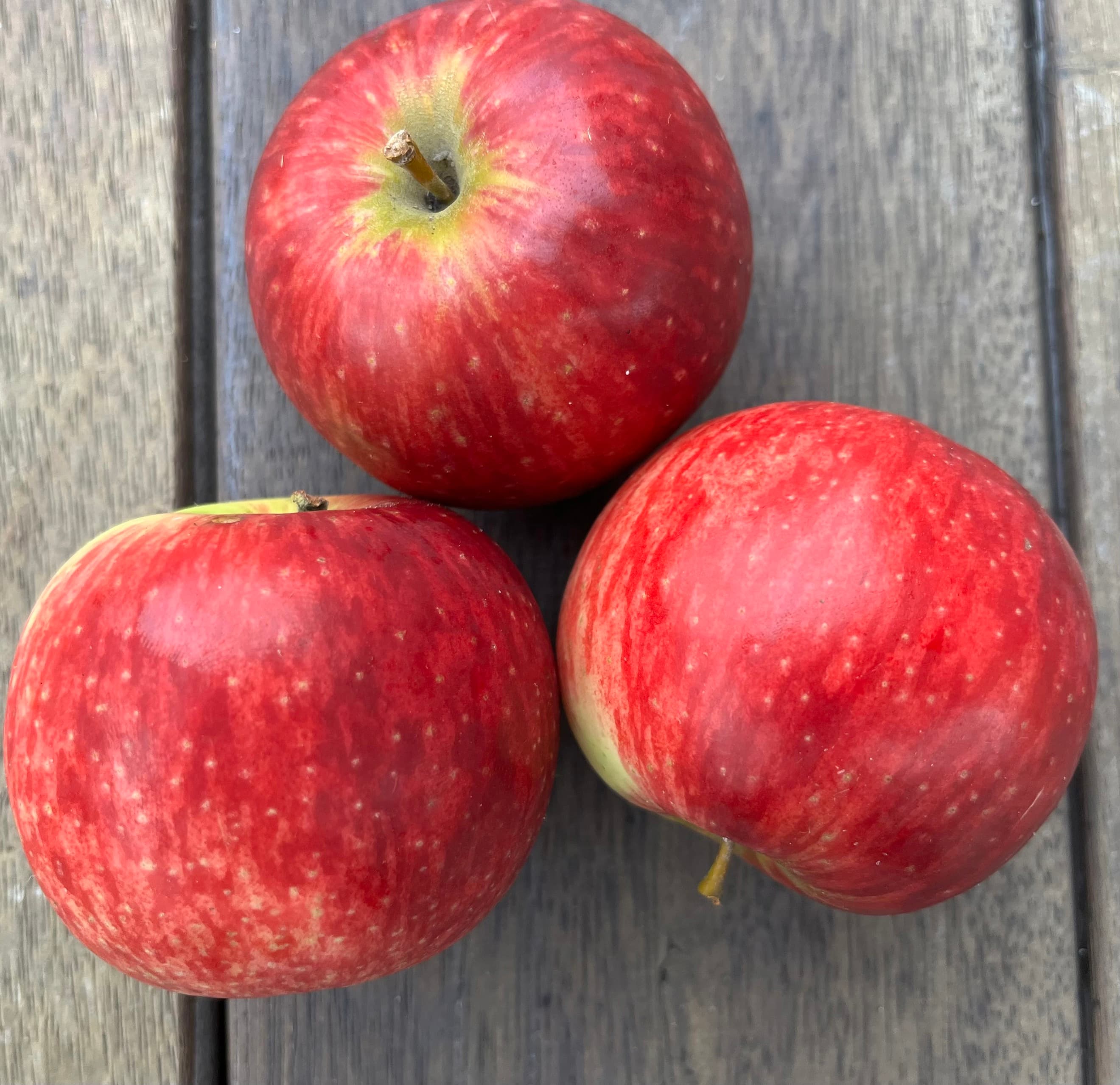 Apples Sundowners