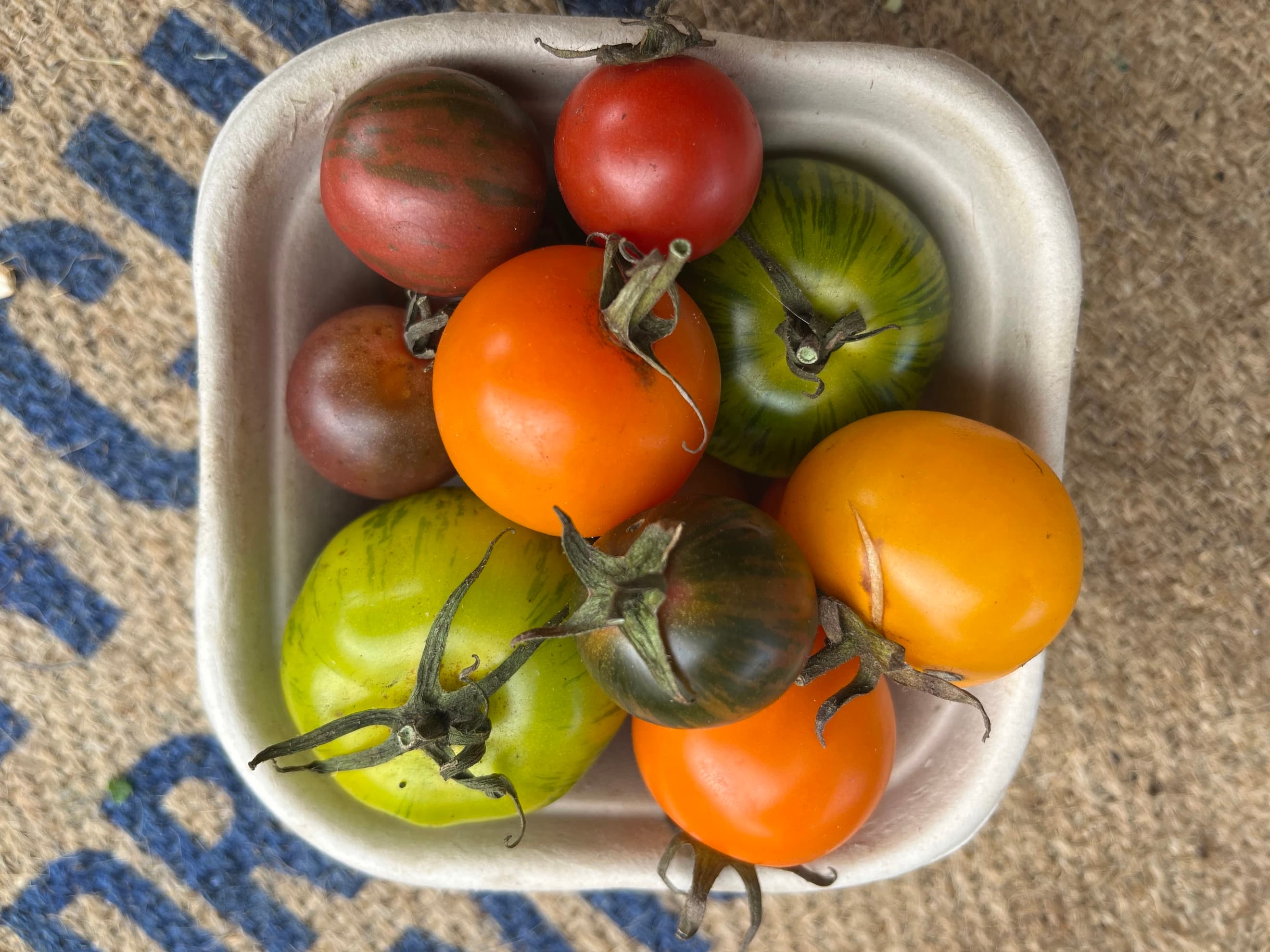 Tomato Medley Punnet